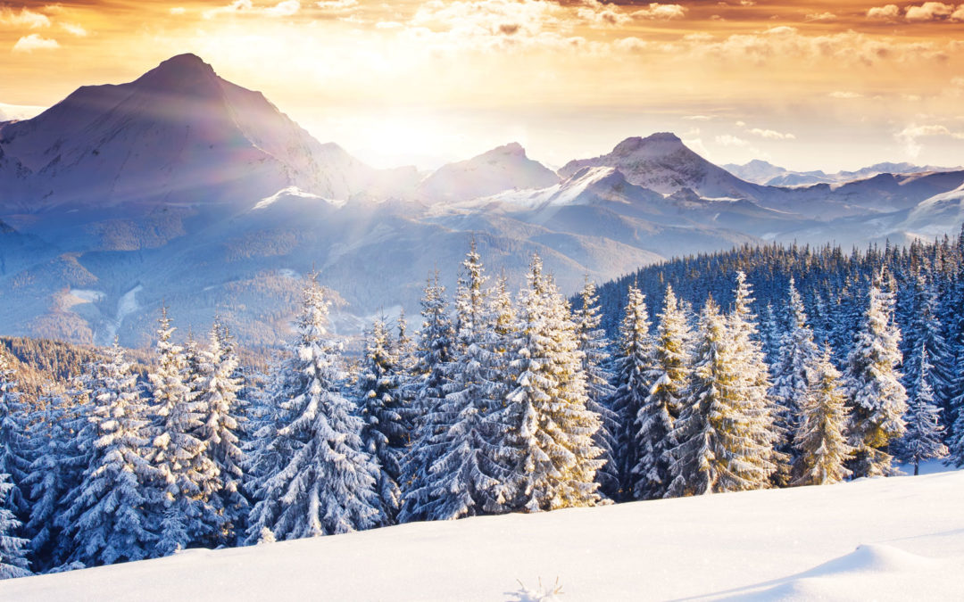 It’s beginning to look like a lot like … Winterurlaub