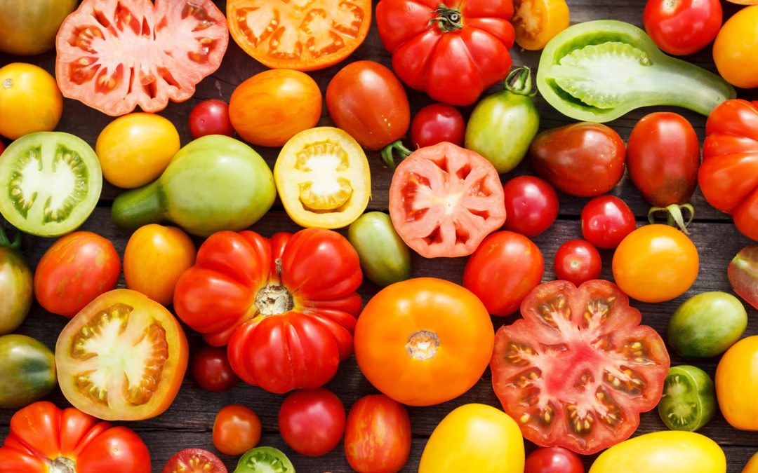 Tag der Tomate: Tipps & Rezepte